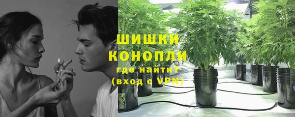 spice Касимов