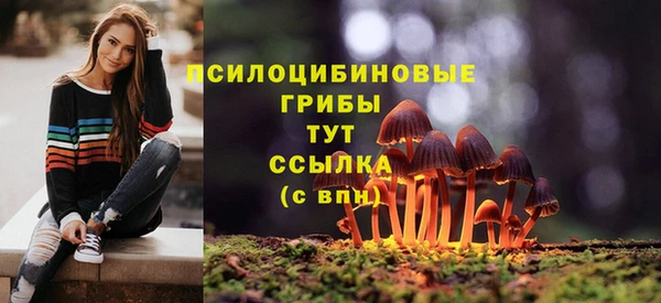 spice Алексин