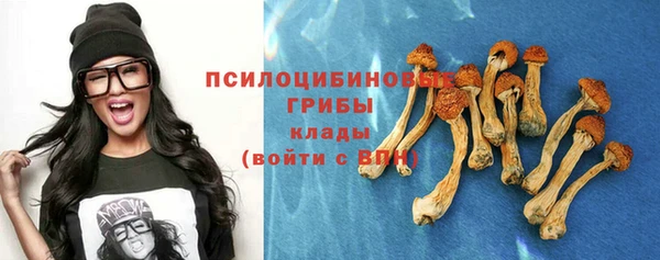 твердый Абинск