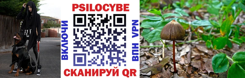 купить  цена  Шиханы  Галлюциногенные грибы MAGIC MUSHROOMS 